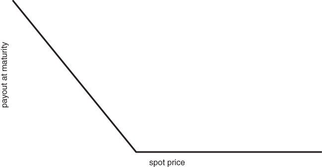 A geometric diagram of the payout curve of a long put at maturity with spot price marked at the bottom of horizontal portion of the curve and payout at maturity marked at the vertical portion of it.